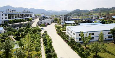 公司场景